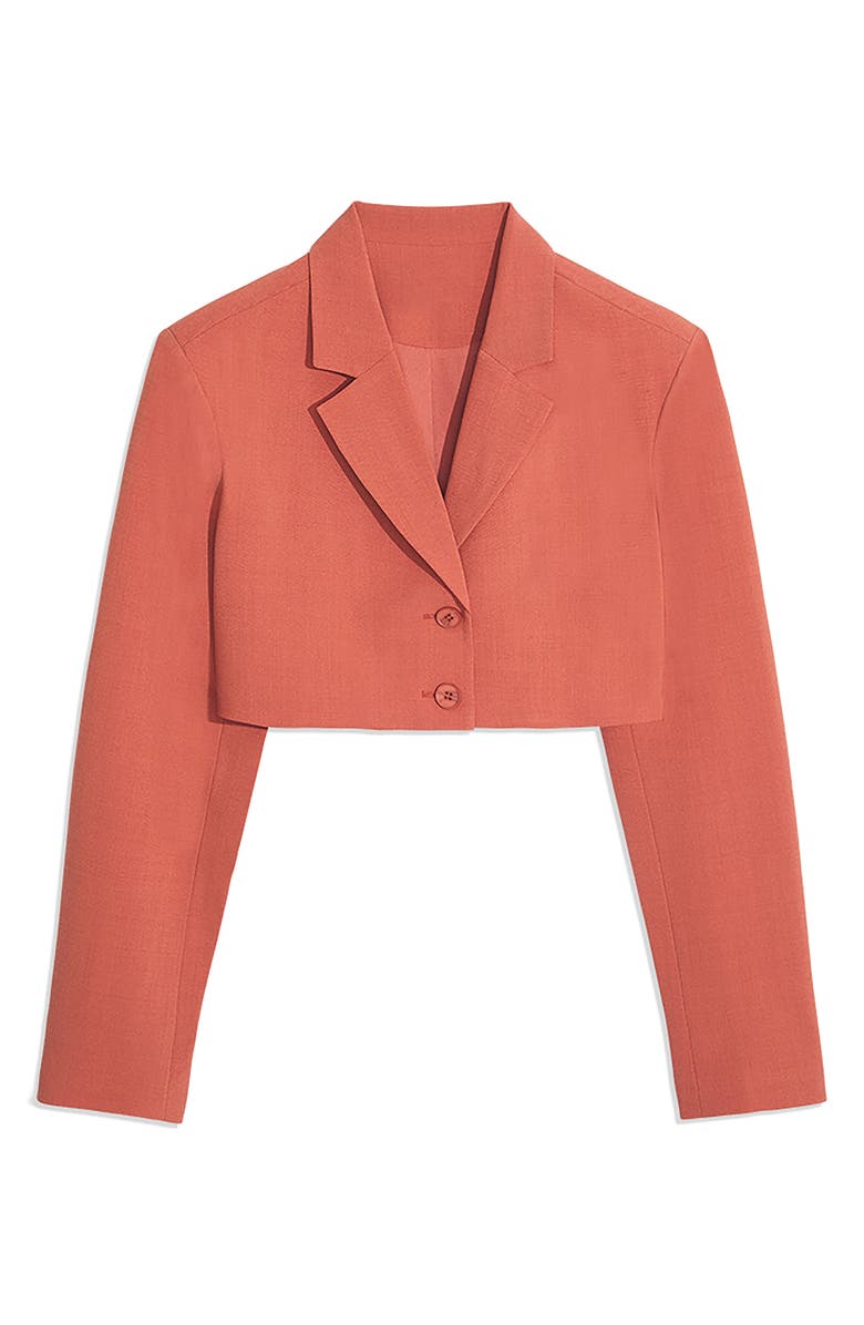 Cropped Single-breasted Blazer